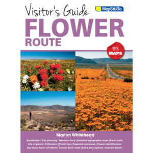 Travel Guides
